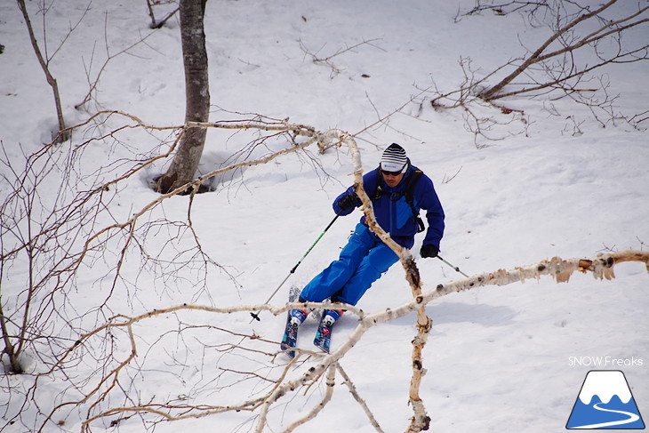 DYNASTAR SKI series Test Ride Days 2017 in ニセコユナイテッド【Day.1】～ニセコグラン・ヒラフ～